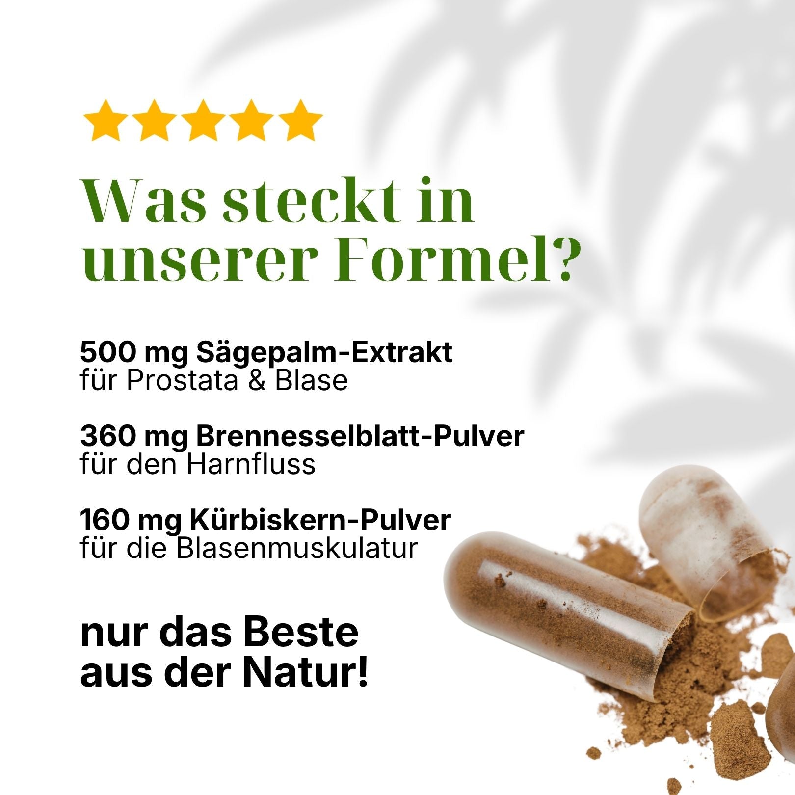 naturaveda ProstaVeda