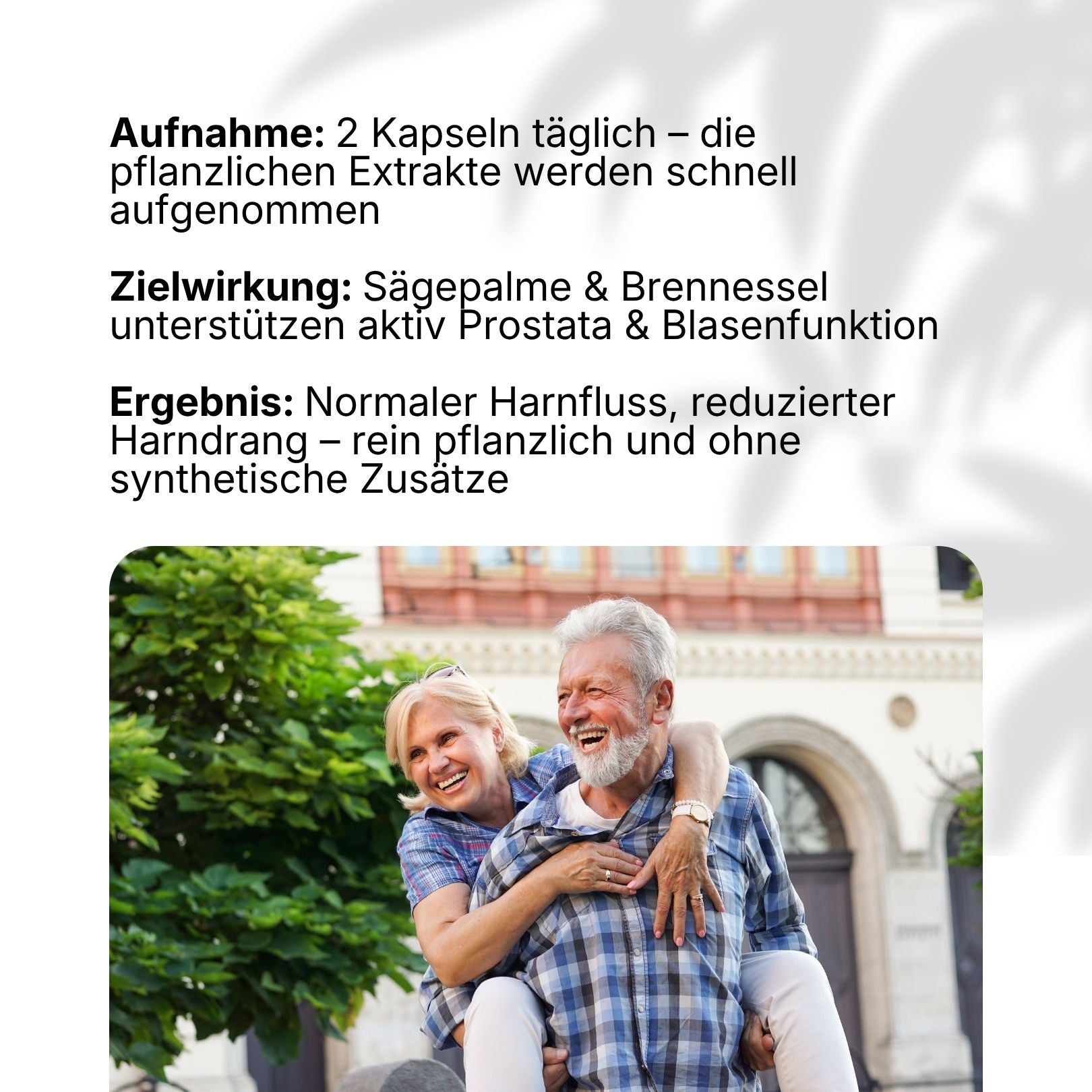 naturaveda ProstaVeda