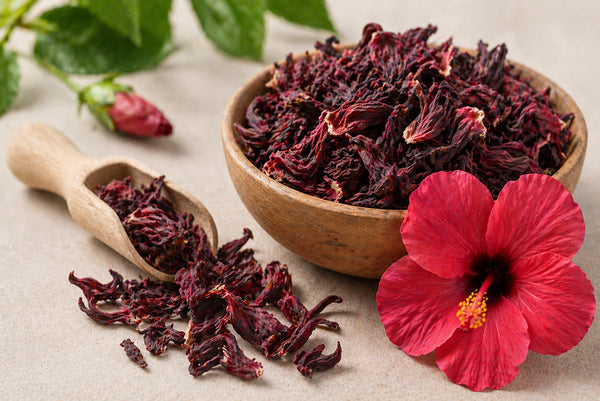 Hibiscus flower extract
