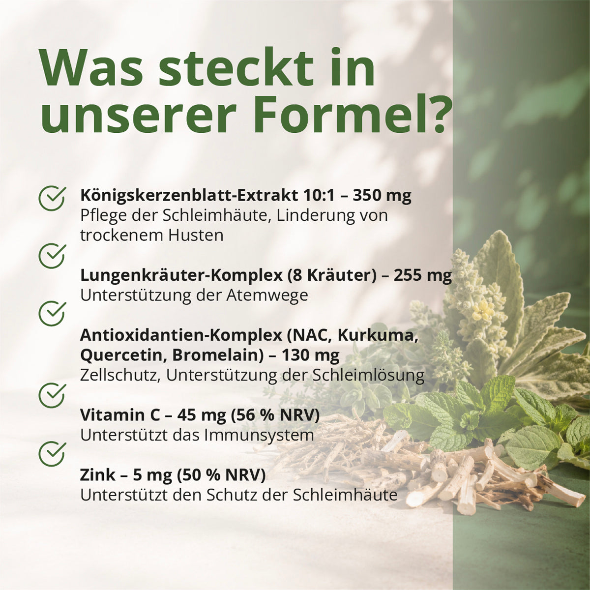 naturaveda lung-friendly